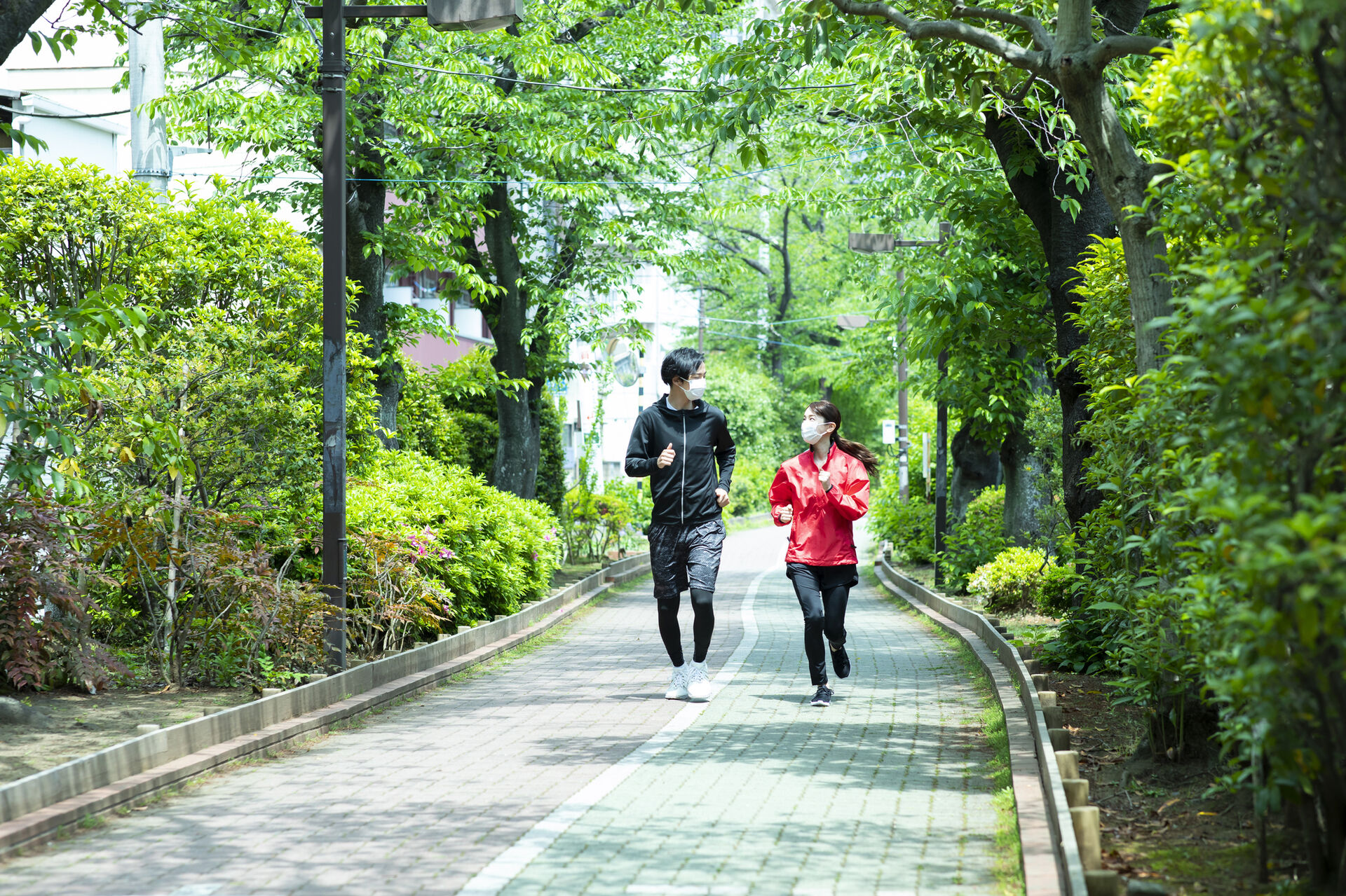 pixta_67862745_M